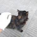 IMG_20161217_193523758.jpg